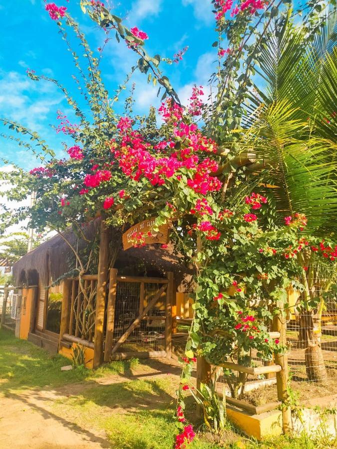 Pousada Dos Cardeais Barra Grande  Extérieur photo